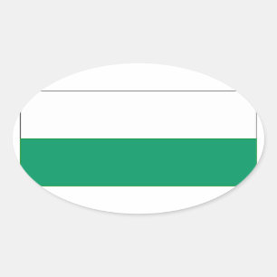 Vlag van Aalten, Nederland Ovale Sticker