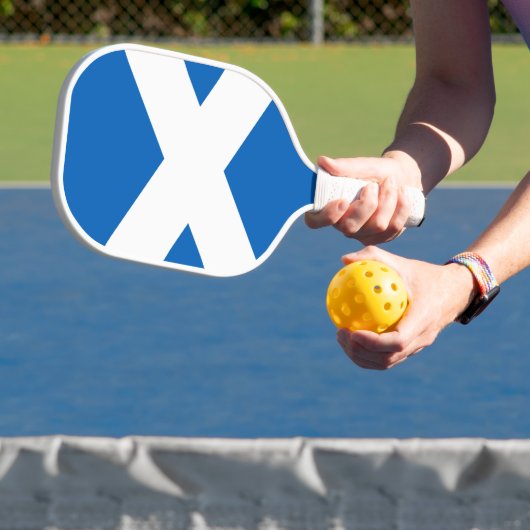 Vlag van Alba Pickleball Paddle (Insitu)