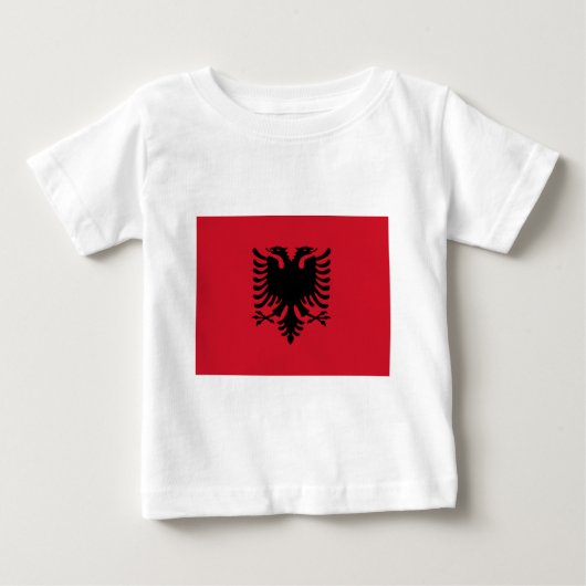 vlag van Albanië (Voorkant)