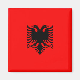 vlag van Albanië Magneet