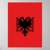 vlag van Albanië Poster (Voorkant)