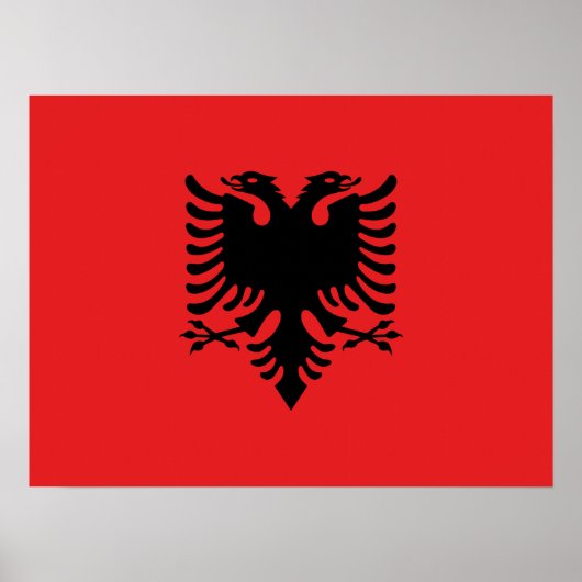 vlag van Albanië Poster (Voorkant)