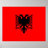 vlag van Albanië Poster (Voorkant)