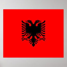 vlag van Albanië Poster