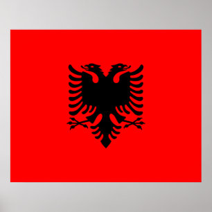 vlag van Albanië Poster