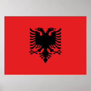vlag van Albanië Poster