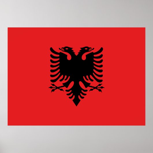 vlag van Albanië Poster (Voorkant)