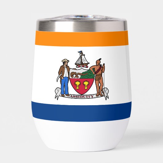 Vlag van Albany, New York (Voorkant)