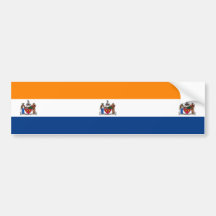Vlag van Albany (New York)