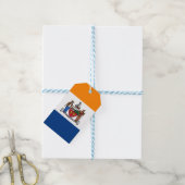 Vlag van Albany, New York Cadeaulabel (Met Touw)