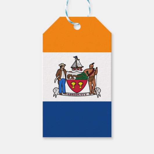 Vlag van Albany, New York Cadeaulabel (Voorkant)