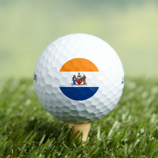 Vlag van Albany, New York Golfballen (Insitu Shirt)