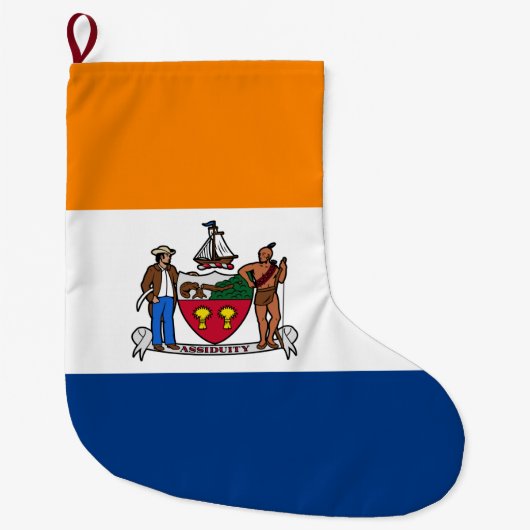 Vlag van Albany (New York) Grote Kerstsok (Voorkant)