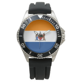 Vlag van Albany (New York) Horloge