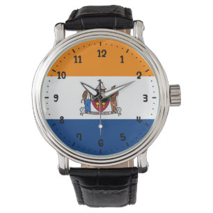 Vlag van Albany, New York Horloge