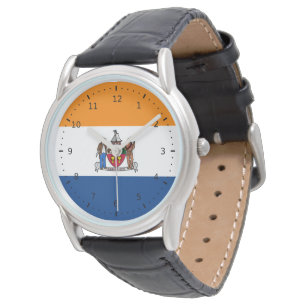 Vlag van Albany, New York Horloge