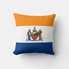 Vlag van Albany (New York) Kussen
