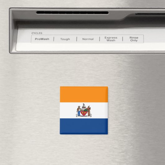 Vlag van Albany (New York) Magneet (Insitu (Vaatwasser))