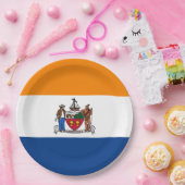 Vlag van Albany (New York) Papieren Bordje (Feest)