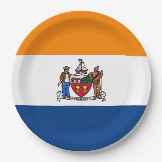 Vlag van Albany (New York) Papieren Bordje (Voorkant)