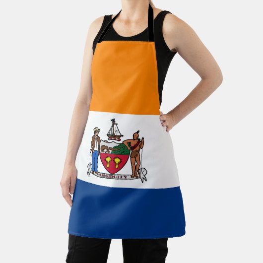 Vlag van Albany, New York Schort (Insitu)