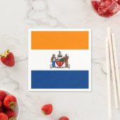 Vlag van Albany, New York Servet (Insitu)