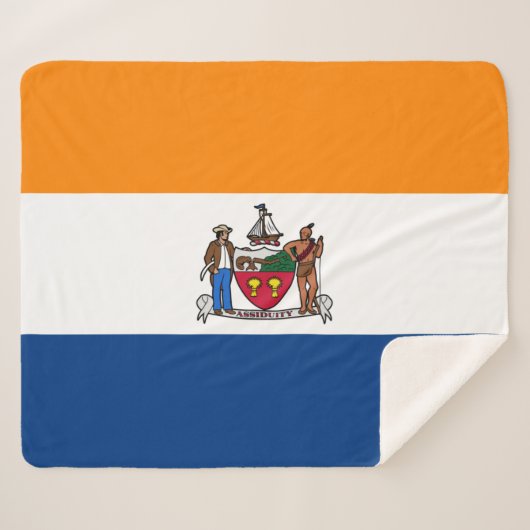 Vlag van Albany (New York) Sherpa Deken (Voorkant (horizontaal))