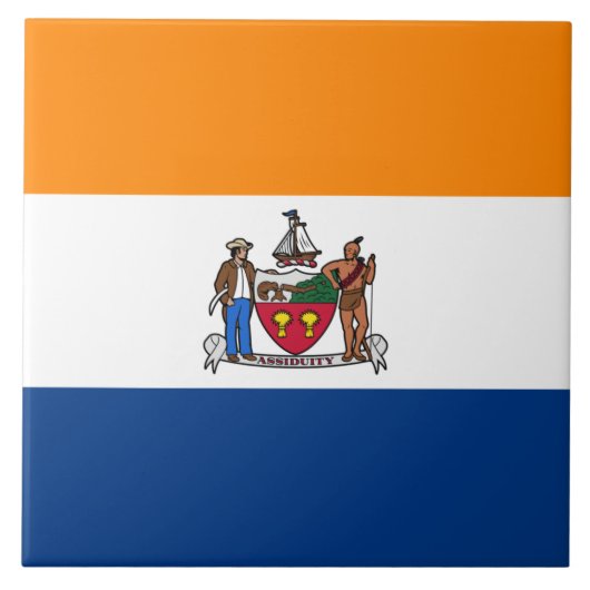 Vlag van Albany (New York) Tegeltje (Voorkant)