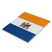 Vlag van Albany (New York) Tegeltje (Zijkant)