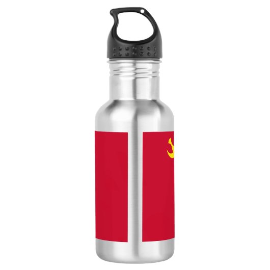 Vlag van Albuquerque, New Mexico Stainless Steel W Waterfles (Achterkant)