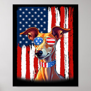 Vlag van Amerika Italiaanse Greyhound-hond 4 juli Poster