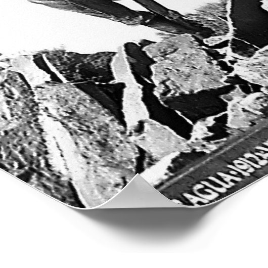 Vlag van Amerikaanse zeekorps Poster (Hoek)