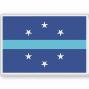 Vlag van Anaheim, Californië (2018-2019) Sticker