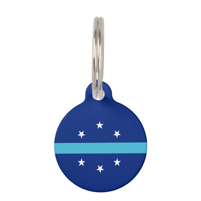 Vlag van Anaheim, Californië Huisdierpenning (Voorkant)