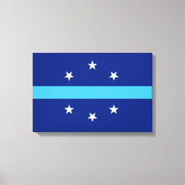 Vlag van Anaheim (Californië, VS) Canvas Afdruk