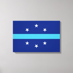 Vlag van Anaheim (Californië, VS) Canvas Afdruk