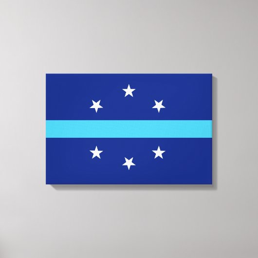 Vlag van Anaheim (Californië, VS) Canvas Afdruk (Voorkant)