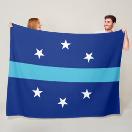 Vlag van Anaheim (Californië, VS) Fleece Deken