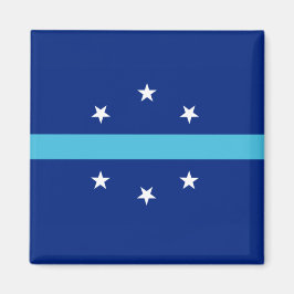 Vlag van Anaheim (Californië, VS) Magneet