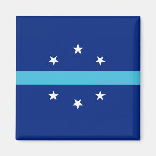 Vlag van Anaheim (Californië, VS) Magneet