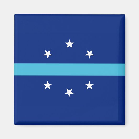 Vlag van Anaheim (Californië, VS) Magneet (Voorkant)