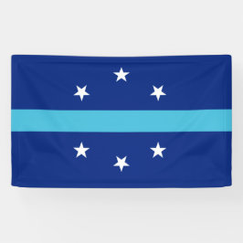 Vlag van Anaheim (Californië, VS) Spandoek