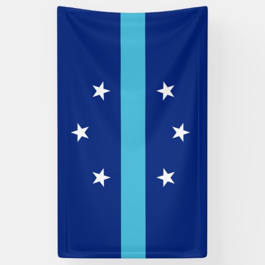 Vlag van Anaheim (Californië, VS) Spandoek (Verticaal)