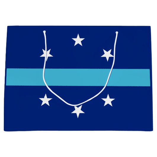 Vlag van Anaheim in Californië Groot Cadeauzakje (Voorkant)