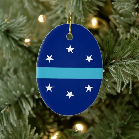 Vlag van Anaheim in Californië Keramisch Ornament (Boom)