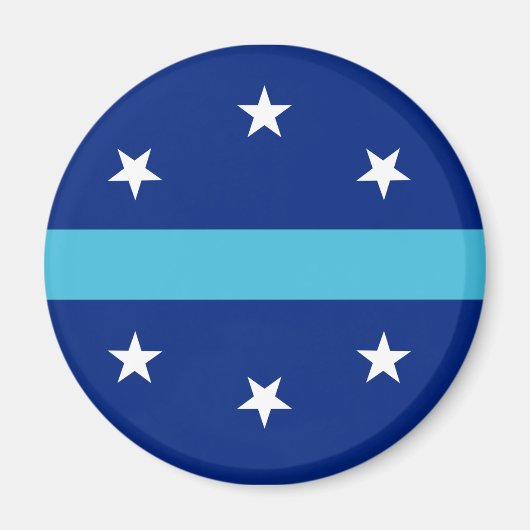 Vlag van Anaheim in Californië Magneet (Voorkant)