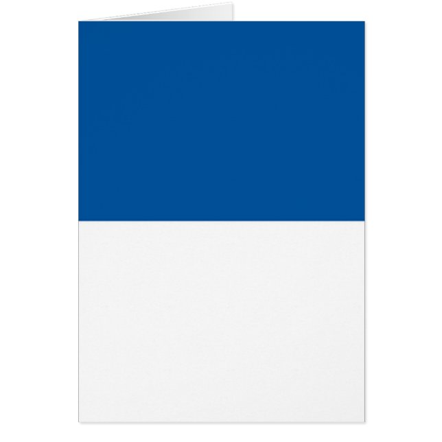 Vlag van Assen (Voorkant)