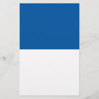 Vlag van Assen