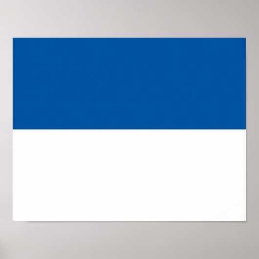 Vlag van Assen Poster (Voorkant)
