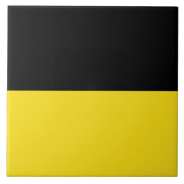 Vlag van Baden Württemberg (Duitse staat) Tegeltje